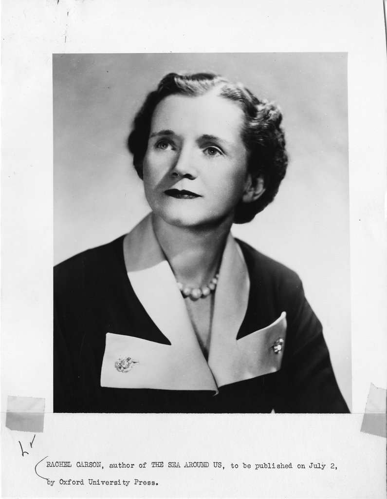 Black and white headshot of Rachel Carson, showing her poised expression and thoughtful gaze.